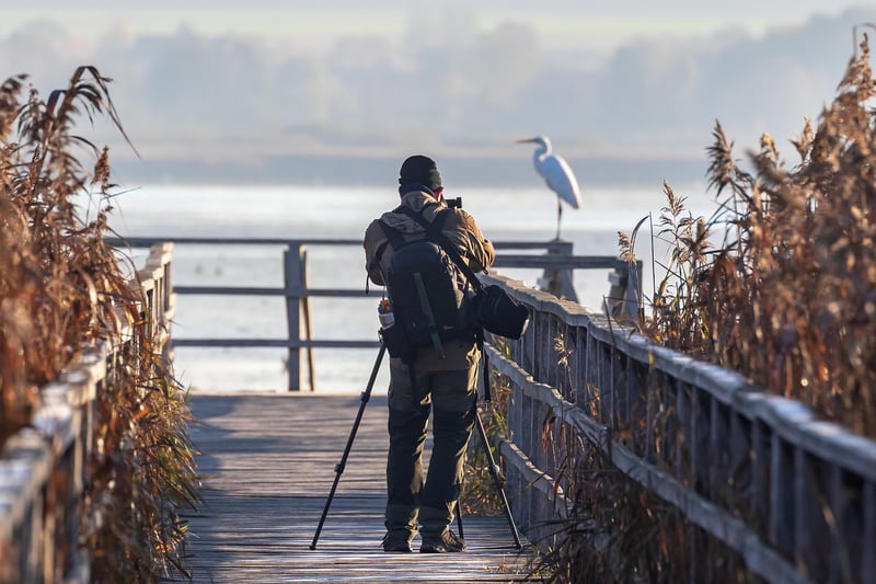 Photographer capturing memories
